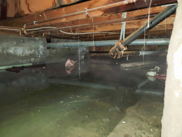 Best 24-hour water damage restoration  in Titusville, FL