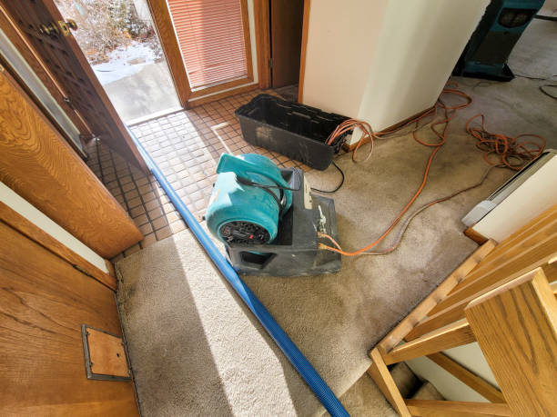 Best Residential water damage restoration  in Titusville, FL