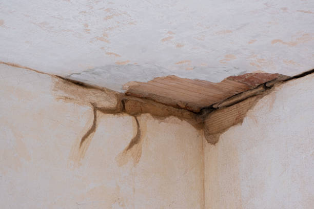 Best Ceiling water damage repair  in Titusville, FL