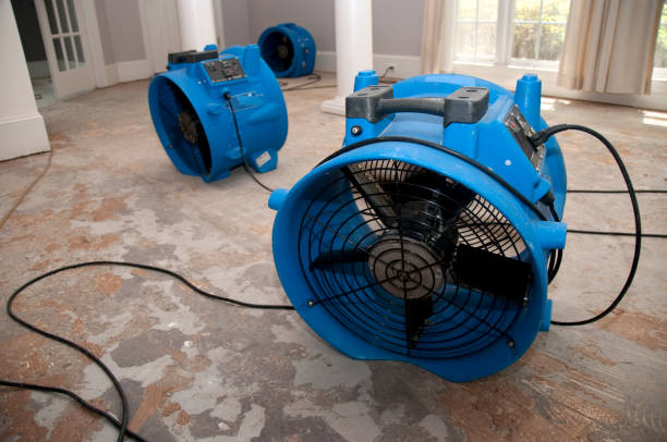 Best Basement water damage restoration  in Titusville, FL