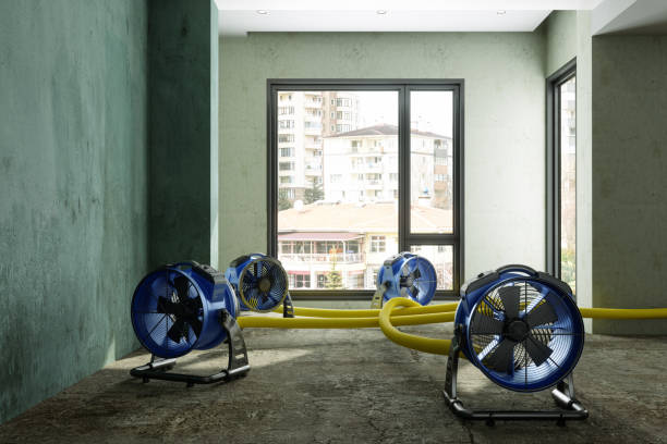 Best Fire Damage Restoration  in Titusville, FL